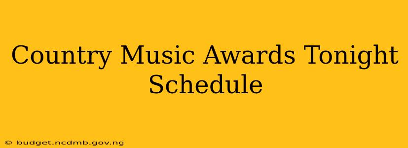 Country Music Awards Tonight Schedule