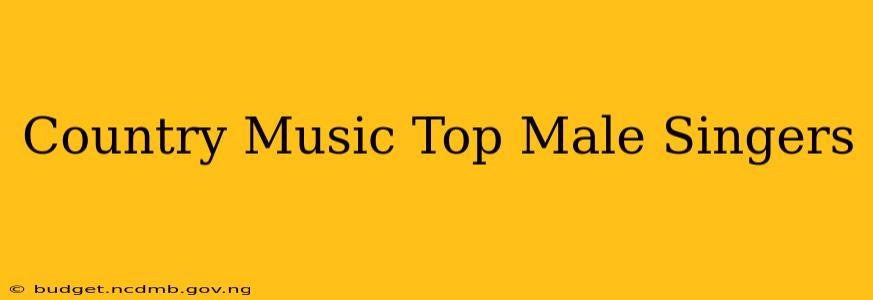 Country Music Top Male Singers