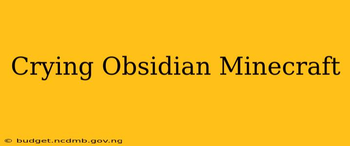 Crying Obsidian Minecraft