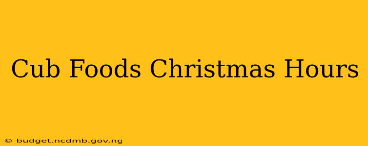 Cub Foods Christmas Hours
