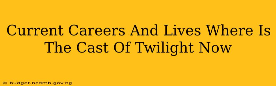 Current Careers And Lives Where Is The Cast Of Twilight Now