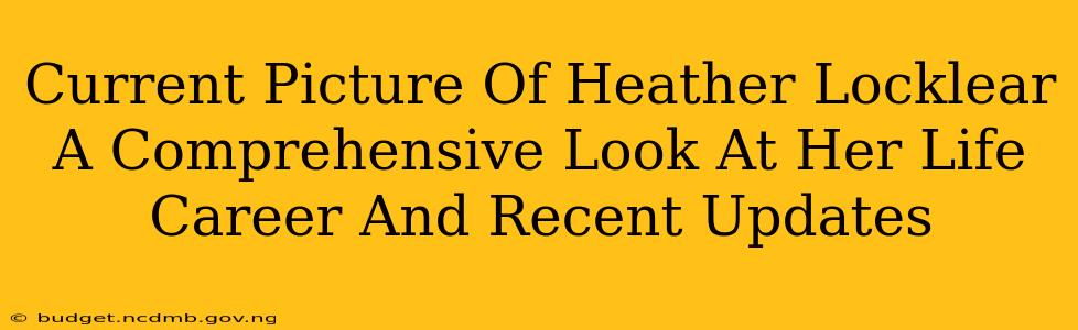 Current Picture Of Heather Locklear A Comprehensive Look At Her Life Career And Recent Updates