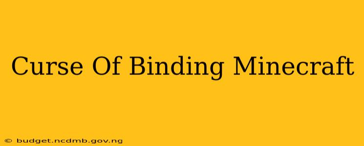 Curse Of Binding Minecraft