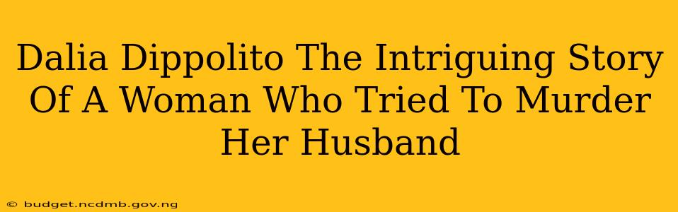 Dalia Dippolito The Intriguing Story Of A Woman Who Tried To Murder Her Husband