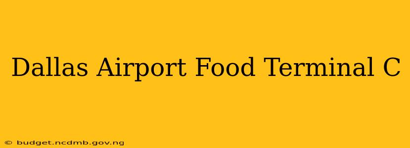 Dallas Airport Food Terminal C