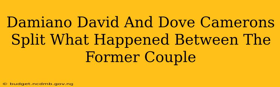Damiano David And Dove Camerons Split What Happened Between The Former Couple