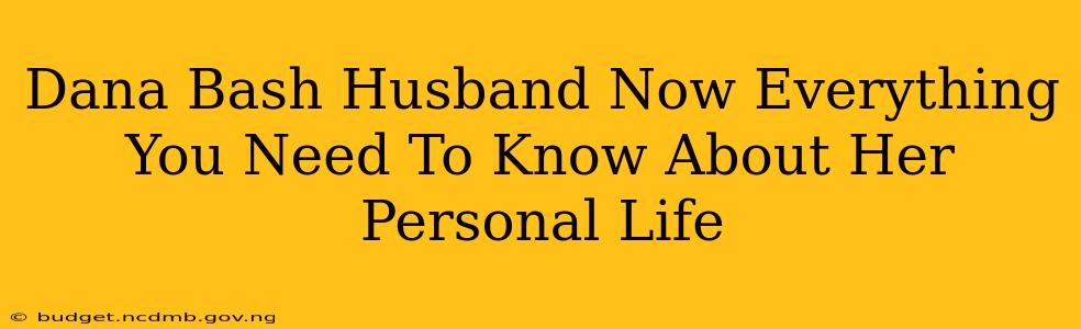 Dana Bash Husband Now Everything You Need To Know About Her Personal Life