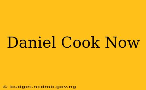 Daniel Cook Now
