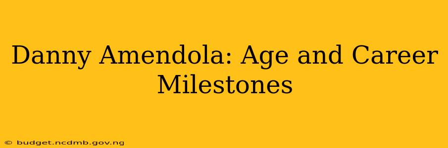 Danny Amendola: Age and Career Milestones