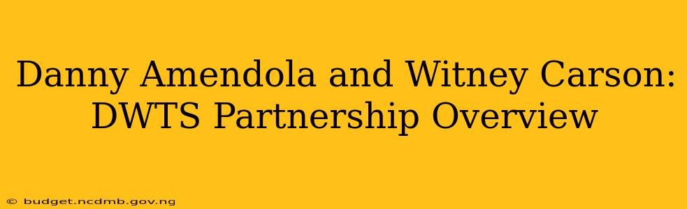Danny Amendola and Witney Carson: DWTS Partnership Overview
