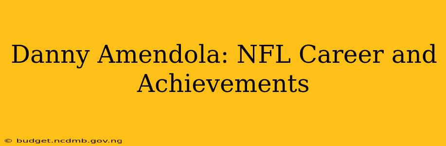 Danny Amendola: NFL Career and Achievements