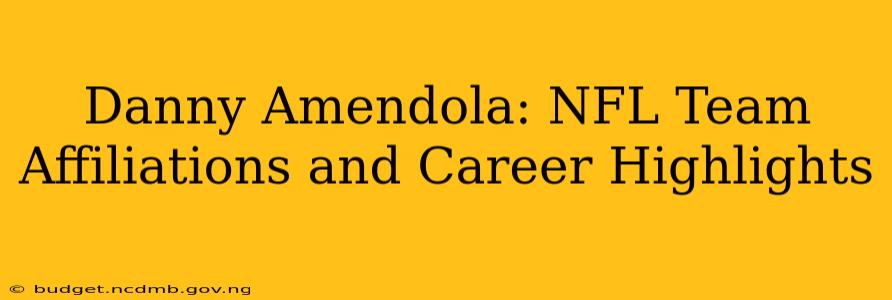 Danny Amendola: NFL Team Affiliations and Career Highlights