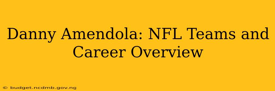 Danny Amendola: NFL Teams and Career Overview