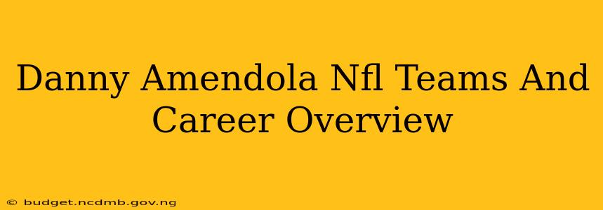 Danny Amendola Nfl Teams And Career Overview