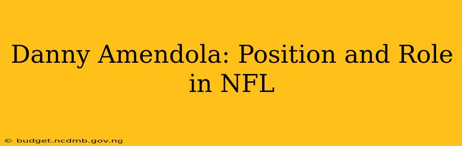 Danny Amendola: Position and Role in NFL