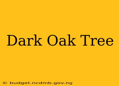 Dark Oak Tree
