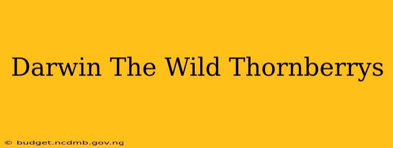 Darwin The Wild Thornberrys