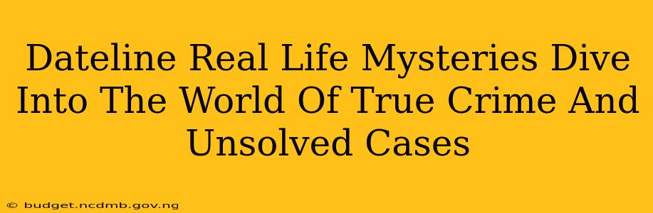 Dateline Real Life Mysteries Dive Into The World Of True Crime And Unsolved Cases