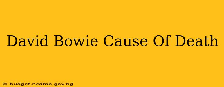 David Bowie Cause Of Death