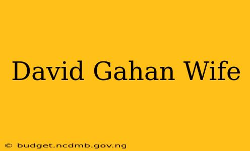David Gahan Wife