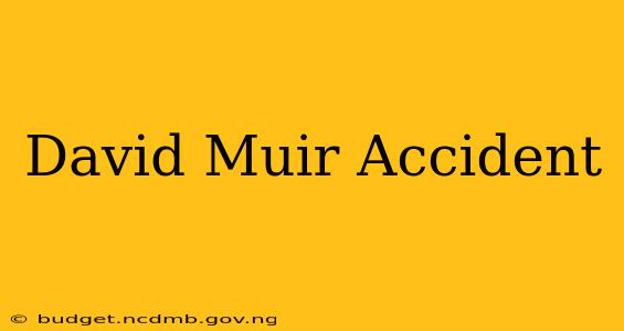 David Muir Accident