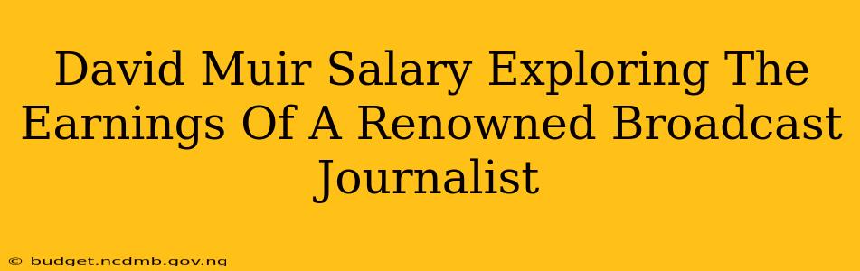David Muir Salary Exploring The Earnings Of A Renowned Broadcast Journalist