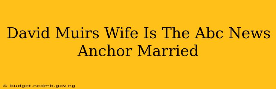 David Muirs Wife Is The Abc News Anchor Married