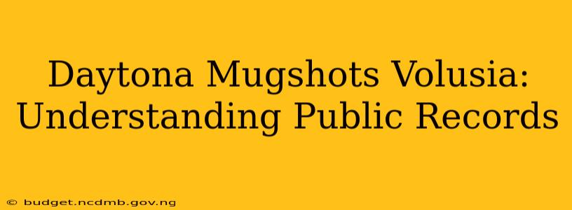 Daytona Mugshots Volusia: Understanding Public Records