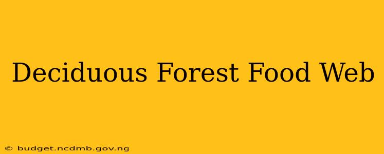 Deciduous Forest Food Web