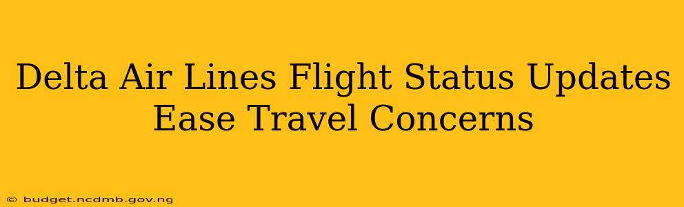 Delta Air Lines Flight Status Updates Ease Travel Concerns