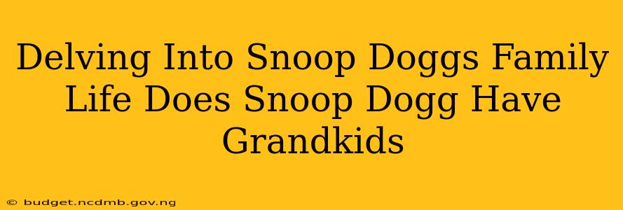 Delving Into Snoop Doggs Family Life Does Snoop Dogg Have Grandkids