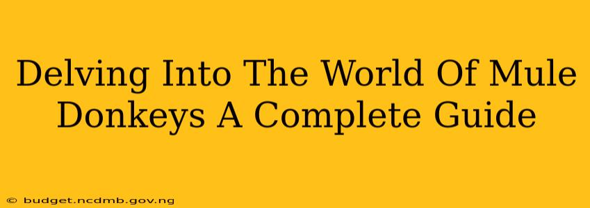 Delving Into The World Of Mule Donkeys A Complete Guide