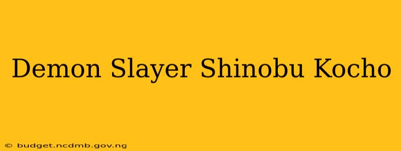 Demon Slayer Shinobu Kocho
