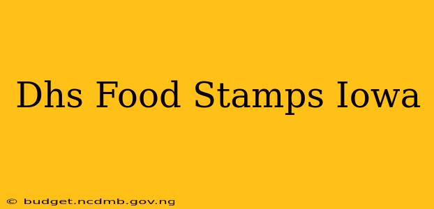 Dhs Food Stamps Iowa