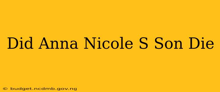 Did Anna Nicole S Son Die