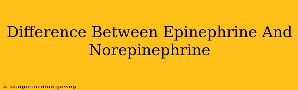 Difference Between Epinephrine And Norepinephrine