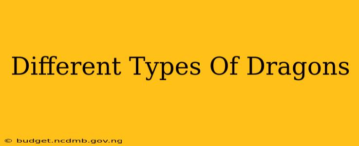 Different Types Of Dragons