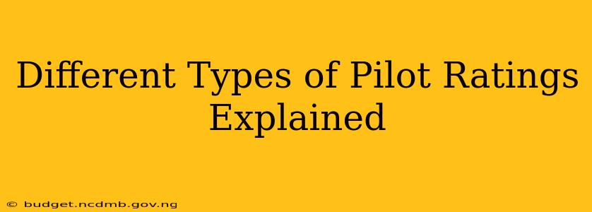 Different Types of Pilot Ratings Explained