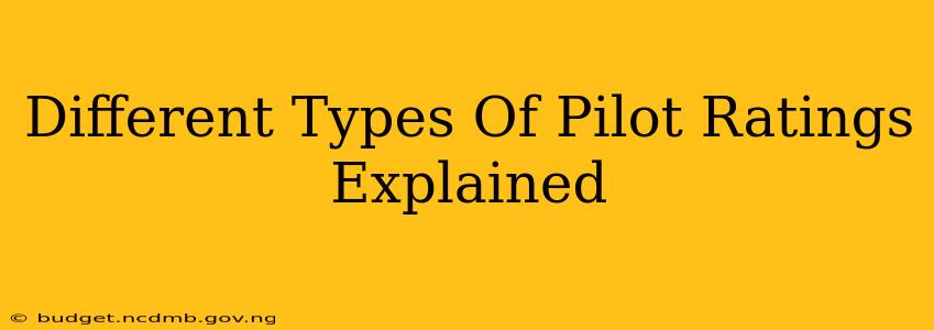 Different Types Of Pilot Ratings Explained