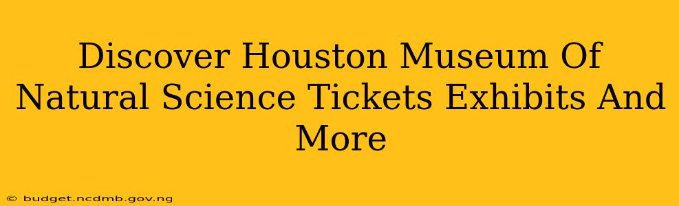 Discover Houston Museum Of Natural Science Tickets Exhibits And More