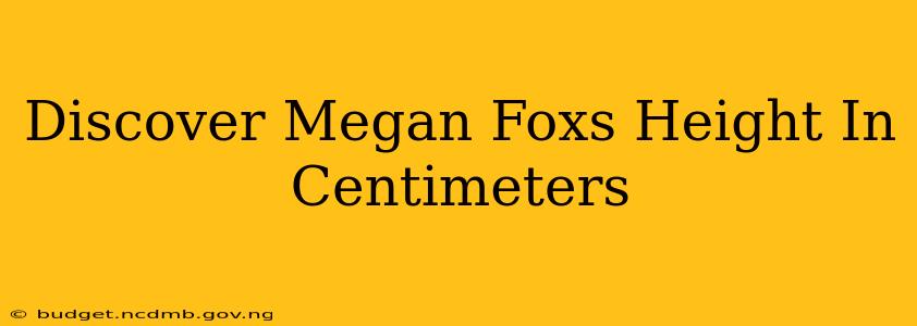 Discover Megan Foxs Height In Centimeters