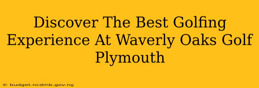 Discover The Best Golfing Experience At Waverly Oaks Golf Plymouth