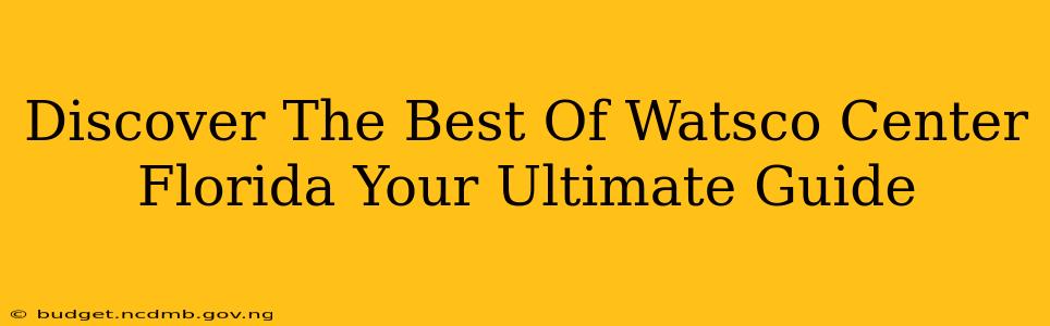 Discover The Best Of Watsco Center Florida Your Ultimate Guide
