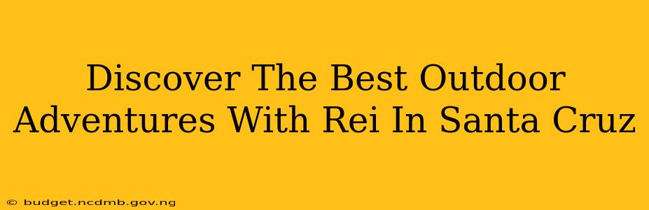 Discover The Best Outdoor Adventures With Rei In Santa Cruz