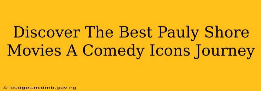 Discover The Best Pauly Shore Movies A Comedy Icons Journey
