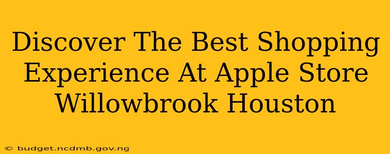 Discover The Best Shopping Experience At Apple Store Willowbrook Houston