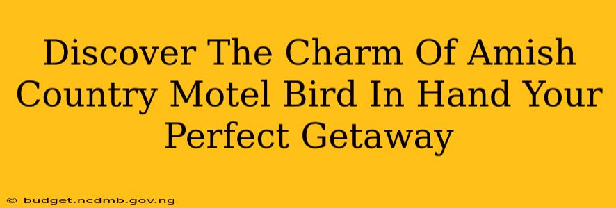Discover The Charm Of Amish Country Motel Bird In Hand Your Perfect Getaway