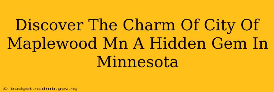 Discover The Charm Of City Of Maplewood Mn A Hidden Gem In Minnesota