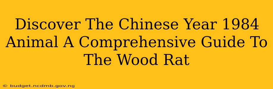 Discover The Chinese Year 1984 Animal A Comprehensive Guide To The Wood Rat