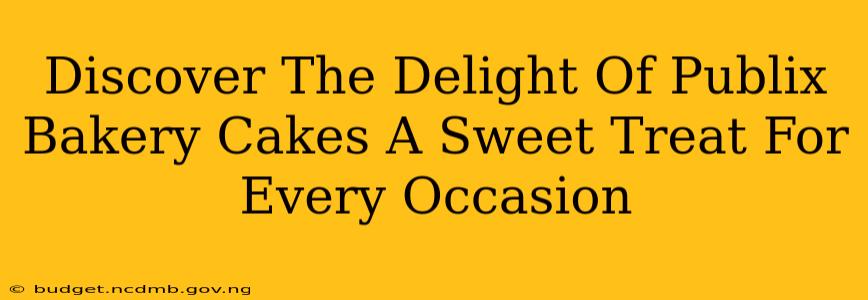 Discover The Delight Of Publix Bakery Cakes A Sweet Treat For Every Occasion